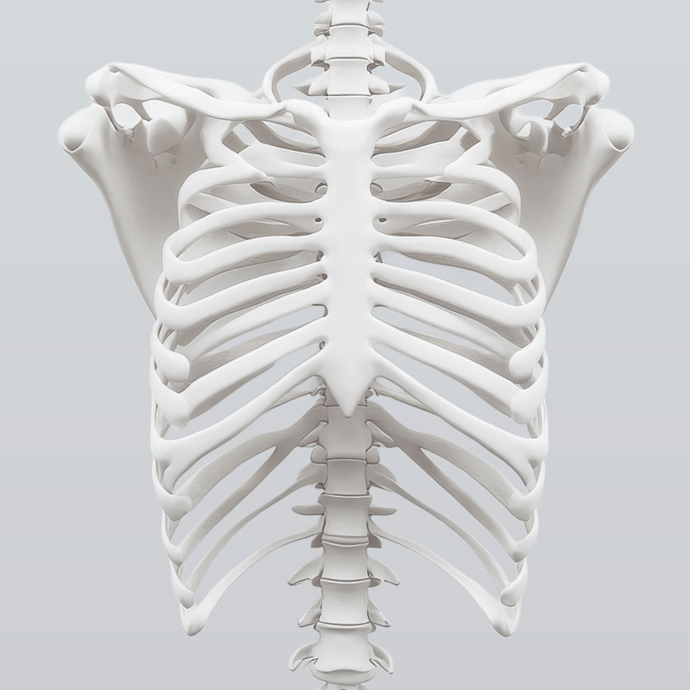 MRT Brustkorb Frankfurt